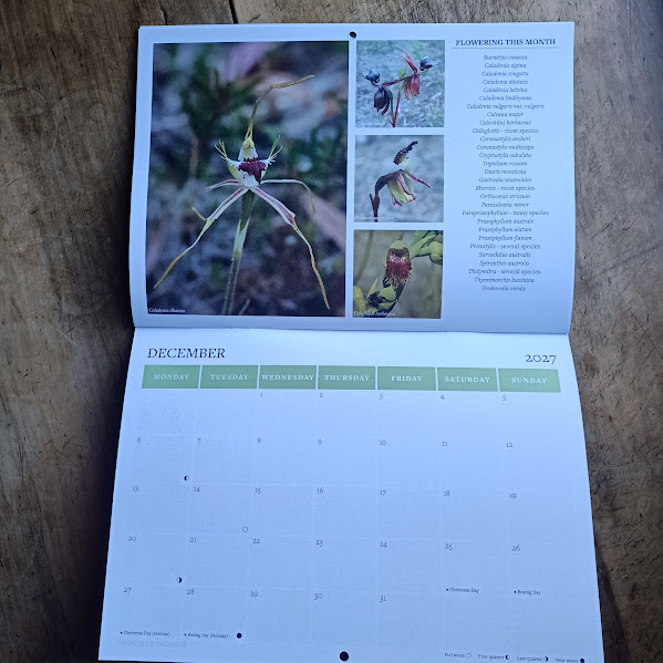 Orchids of Tasmania Calendar 2027 by Wapstra