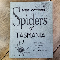 Some Common Spiders of Tasmania - Vernon V Hickman OBE, Australia's leading arachnologist | 1967 [USED – SC]
