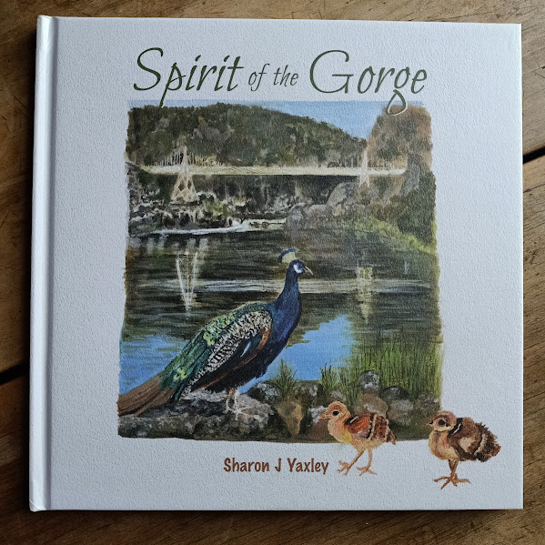 Spirit of the Gorge