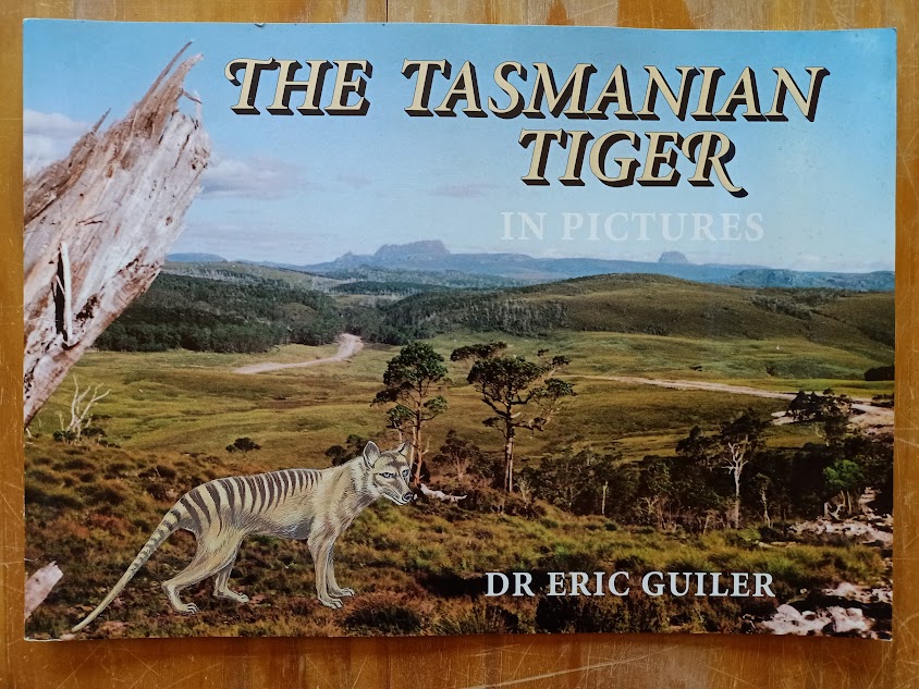 The Tasmanian Tiger in Pictures