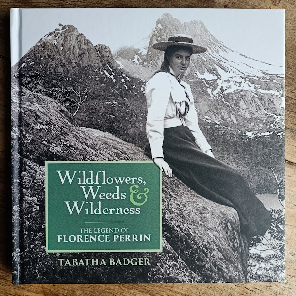 Wildflowers, Weeds & Wilderness 