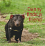 Danny finds a Friend - children's book about a Tasmanian Devil
