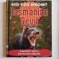 Did You Know? Tasmanian Devil