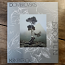 In the Forest (2001) – Peter Dombrovskis & Jamie Kirkpatrick [First Edition]