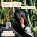 Baby Birds of Tasmania - Kids Series
