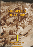 Fromelles to Nauroy 31st Battalion AIF 1915 - 1919