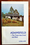 Adamsfield - the town that lived and died