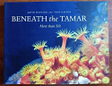 Beneath the Tamar
