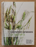 Common Grasses of Tasmania