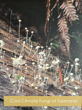 Cool Climate Fungi of Tasmania