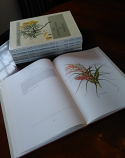 The Endemic Flora of Tasmania - 6-volume set 