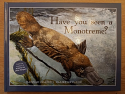 Have You Seen a Monotreme?