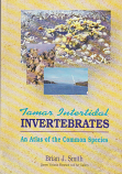 Tamar Intertidal Invertebrates - An Atlas of the Common Species