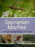 Tasmanian Mayflies