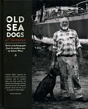 Old Sea Dogs